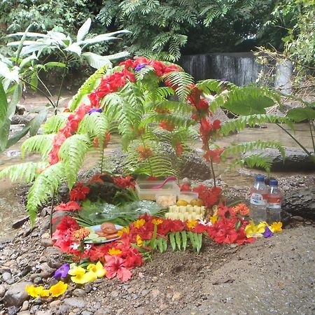 Mountain View Cottages & Villa Tangkahan 外观 照片